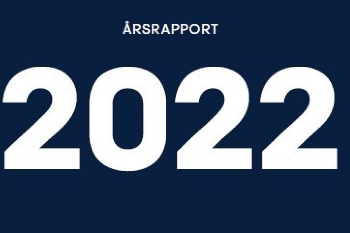 Rsrapport 2022